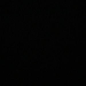 Meet your Posher, Claudia